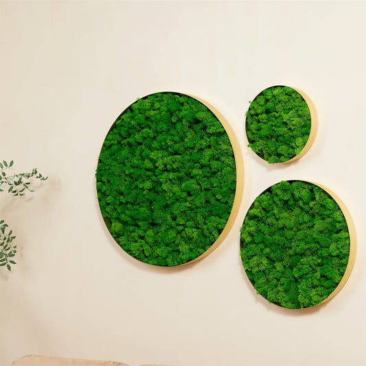 Round Framed Moss Wall Decor, only the Large pc 24*24*2 in
